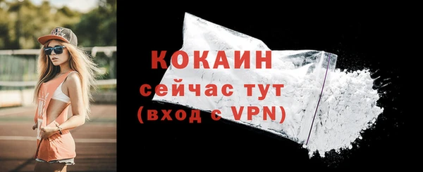 тгк Касимов