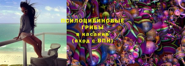 тгк Касимов